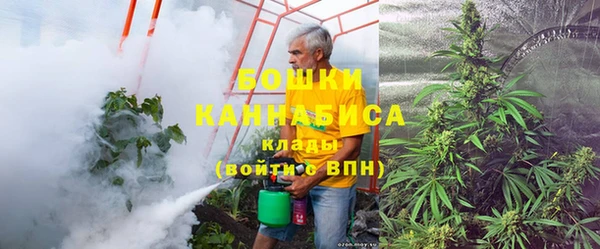 бошки Белокуриха