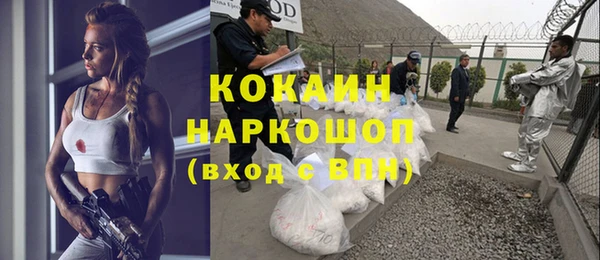 бошки Белокуриха