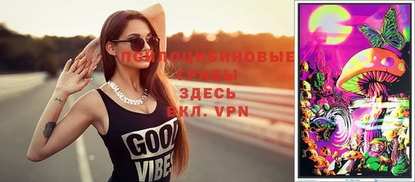 бошки Белокуриха